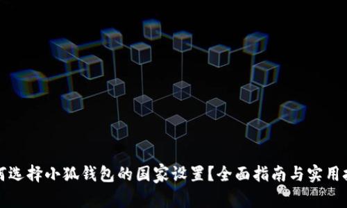 如何选择小狐钱包的国家设置？全面指南与实用技巧