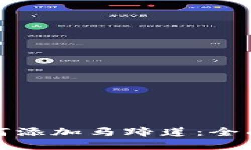 小狐钱包如何添加马蹄莲:全面指南与技巧