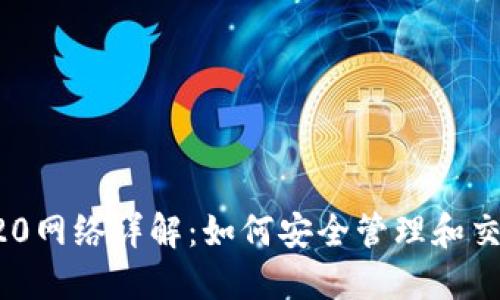 : 小狐钱包ERC20网络详解:如何安全管理和交易你的加密资产