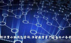 如何设置小狐钱包密码：保护数字资产安全的必