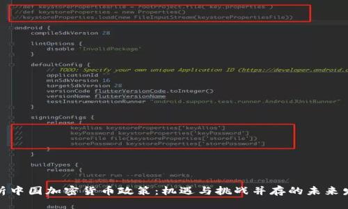 探析中国加密货币政策:机遇与挑战并存的未来发展
